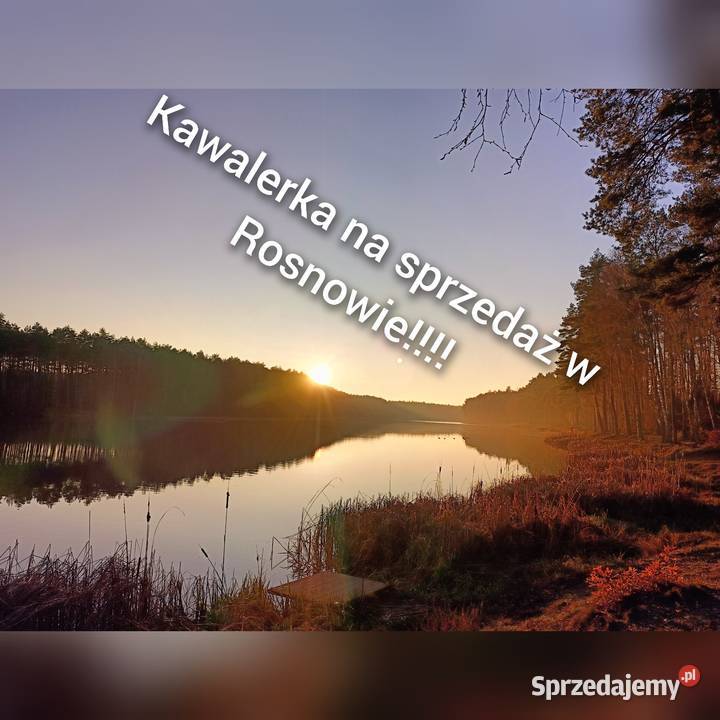 Kawalerka Rosnowo blok zachodniopomorskie