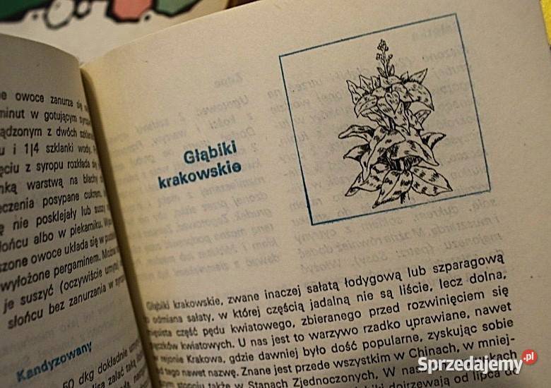 Dania sałatki surówki i potrawy jarskie zdrowa Chełmno