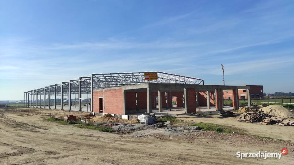 Konstrukcja hali magazynowej Konstrukcja stalowa Czarny Las