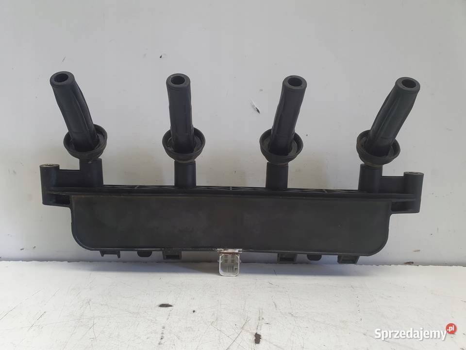 CEWKA ZAPŁONOWA Peugeot 206 14 8V 20161 BREMI Rudka sprzedam