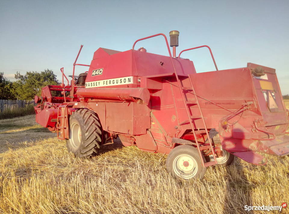 Kombajn Massey Ferguson 440 super stan świętokrzyskie Secemin