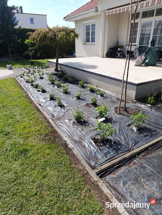 Usługa ogród zachodniopomorskie