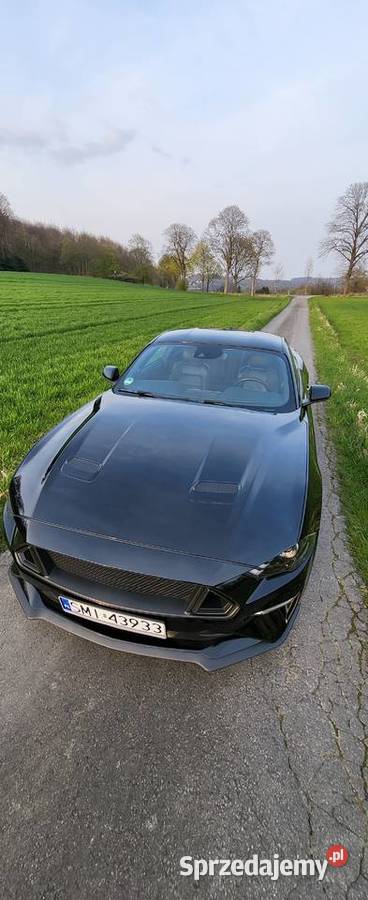 Ford Mustang 50 GT 450 koni Automat Mikołów sprzedam