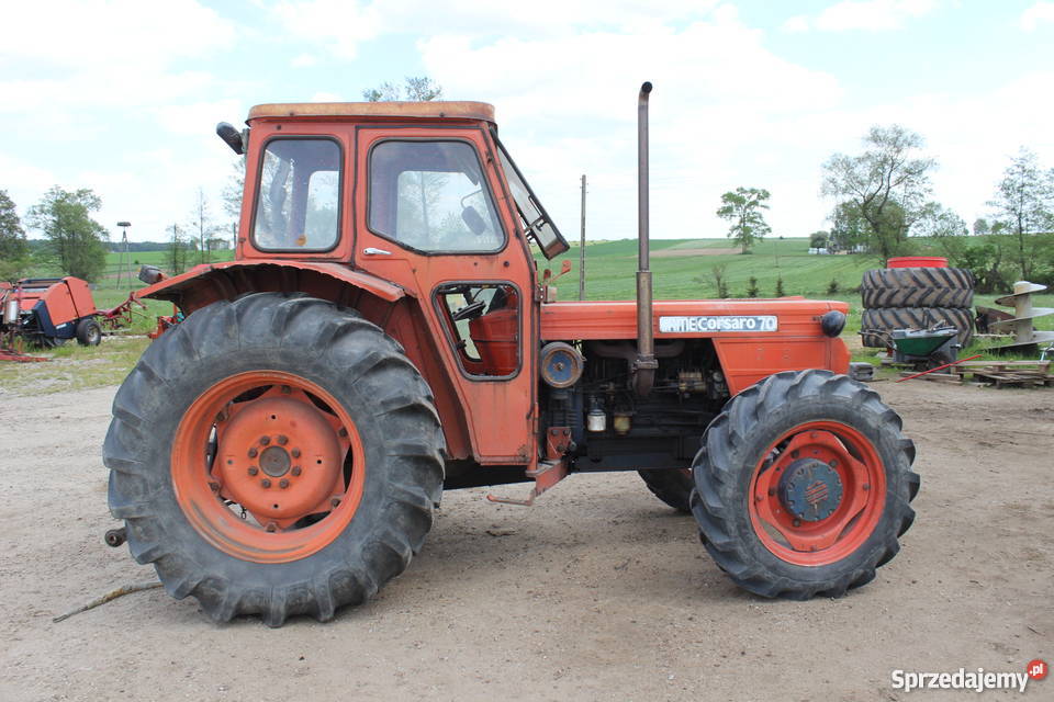 Same corsaro 70 Sokoły