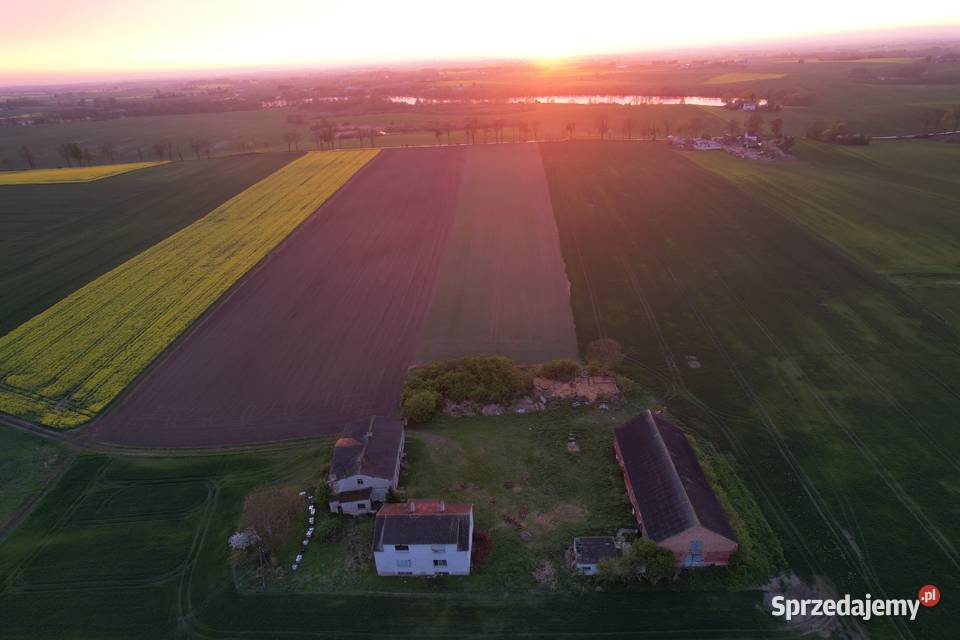 Działka siedliskowa o powierzchni 070 ha 7000m2 Sprzedaż Gruta