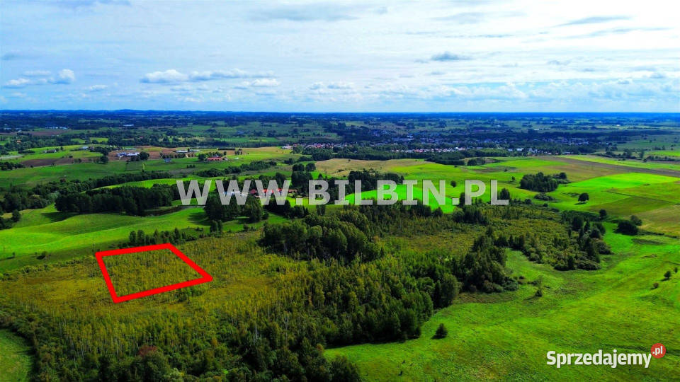 Działka Stara Dębszczyzna 46512m2