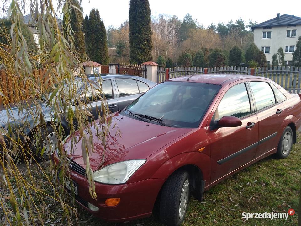 Ford Focus świętokrzyskie Staszów