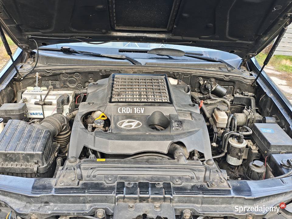 Terracan w stanie Józefów