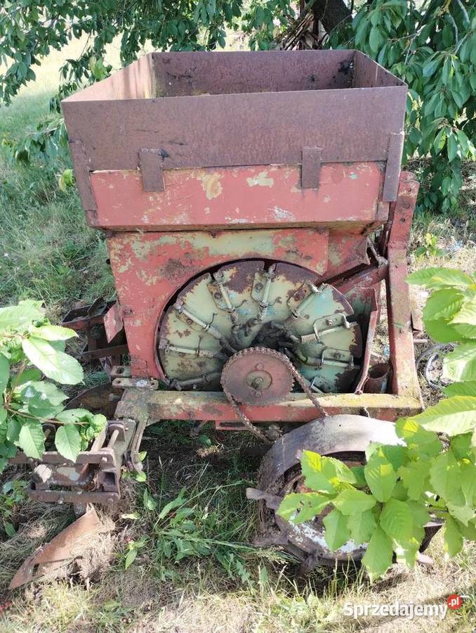 Sadzarka do ziemniaków