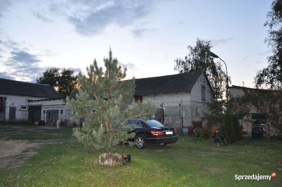 dom i gospodarstwo rolne 157 ha mazowieckie Żuromin