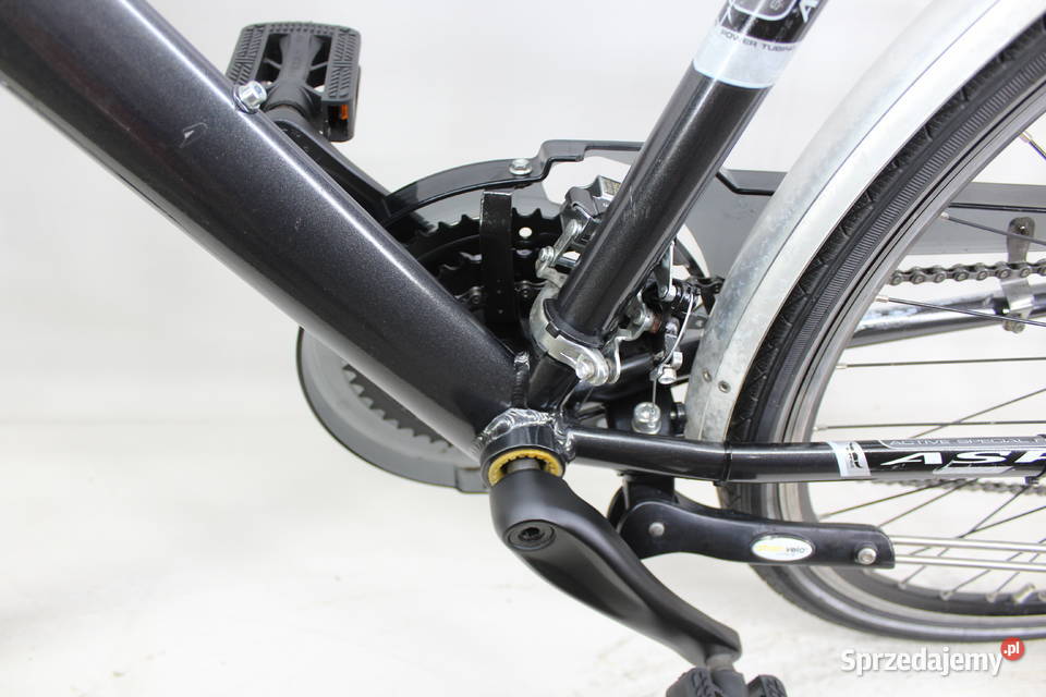 PIĘKNY ALU ROWER MĘSKI BUFFALO KOŁA 28 24 BIEGI dolnośląskie Milicz