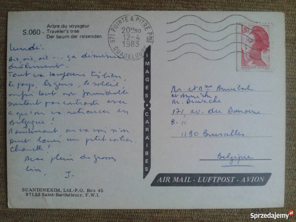 PALMY NA MAŁYCH ANTYLACH W GWADELUPIE Piszczac sprzedam