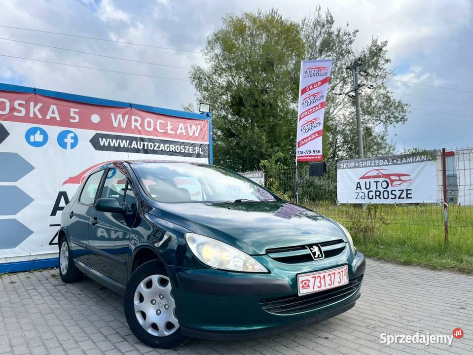 Peugeot 307 20 HDI 90 Klimatyzacja Dl