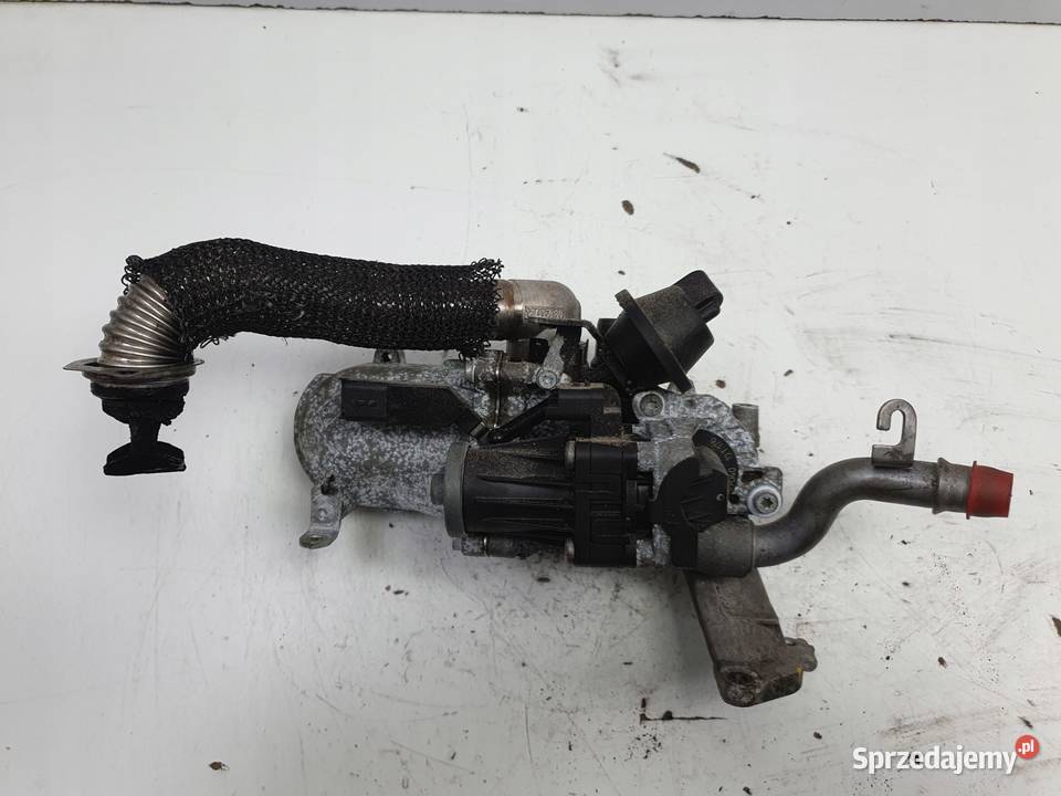 Peugeot Partner 16 EHDI ZAWÓR EGR CHŁODNICA lubelskie Chełm