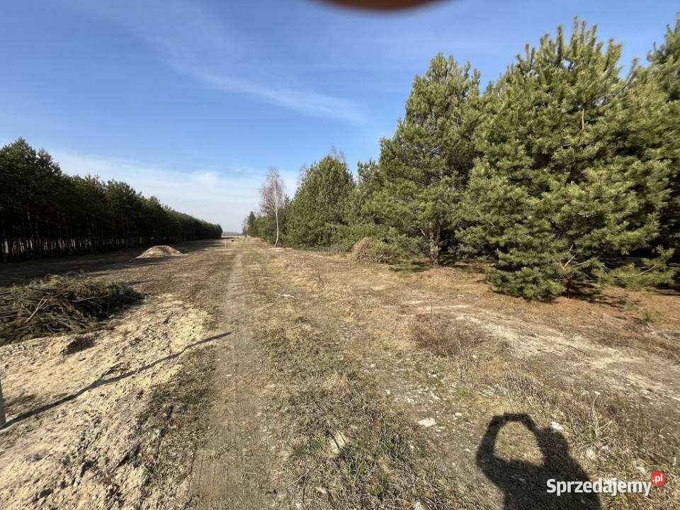 Działka z WZ w Wólce Gonciarskiej gm Kazanów Wólka Gonciarska
