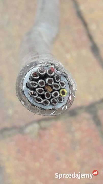 Przewód sterowniczy OLFLEX CLASSIC 12x10 Radzymin