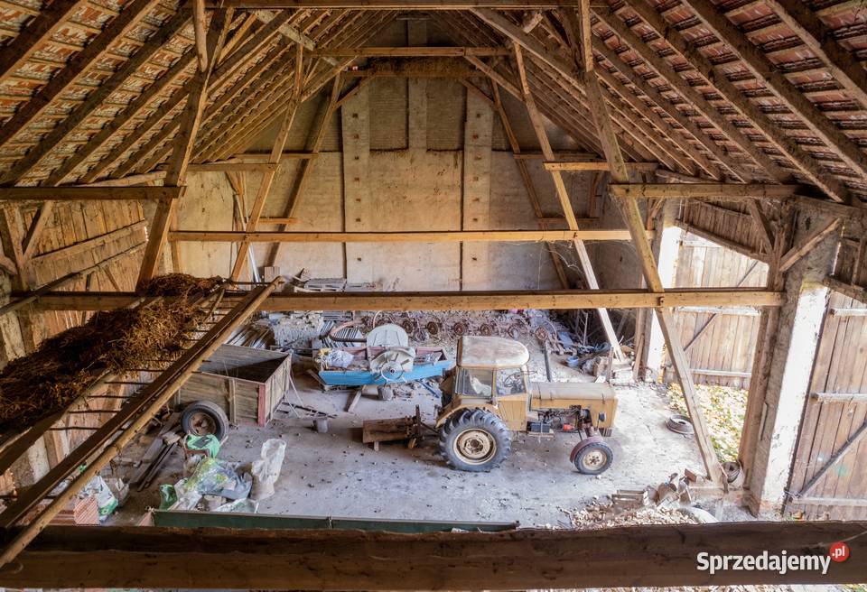 Miejsce z potencjałem dom budynki gosp i łąki w Dalborowice sprzedam