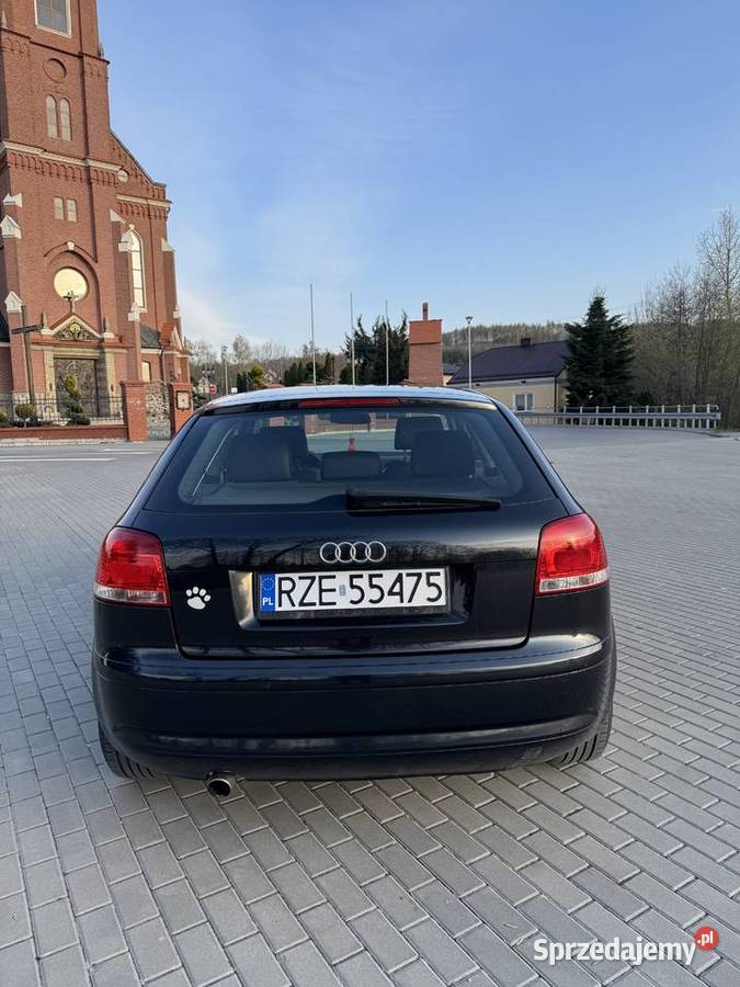 Audi A3 8P 16 MPI 102 Rok produkcji 2003 sprzedam