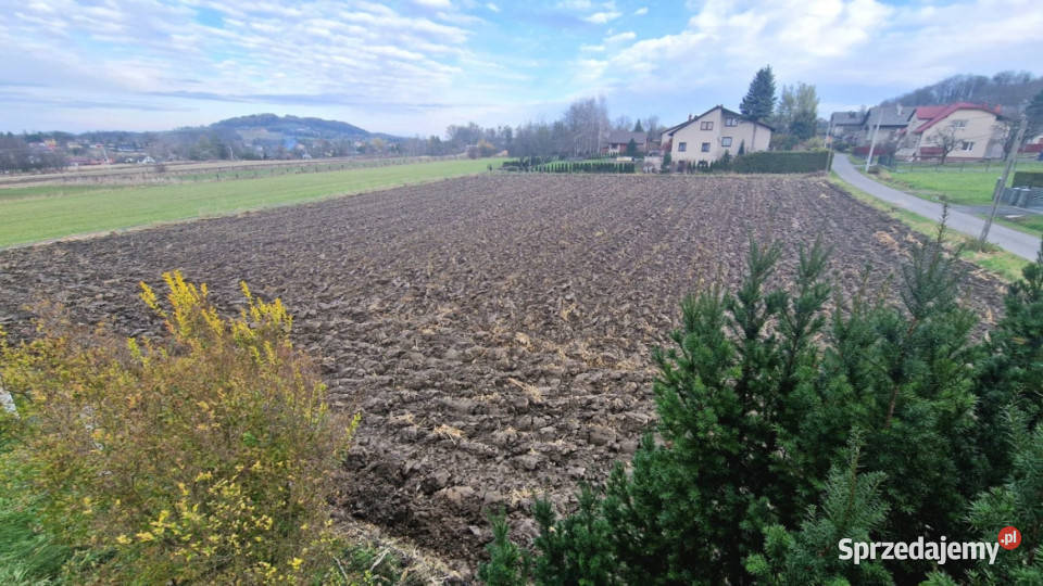 Działka z lasem w pobliżu Beskidy 1231m2 Sprzedaż Goleszów