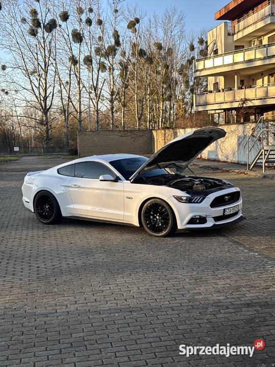FORD MUSTANG GT 50 stan idealny nieuszkodzony Tarnowskie Góry