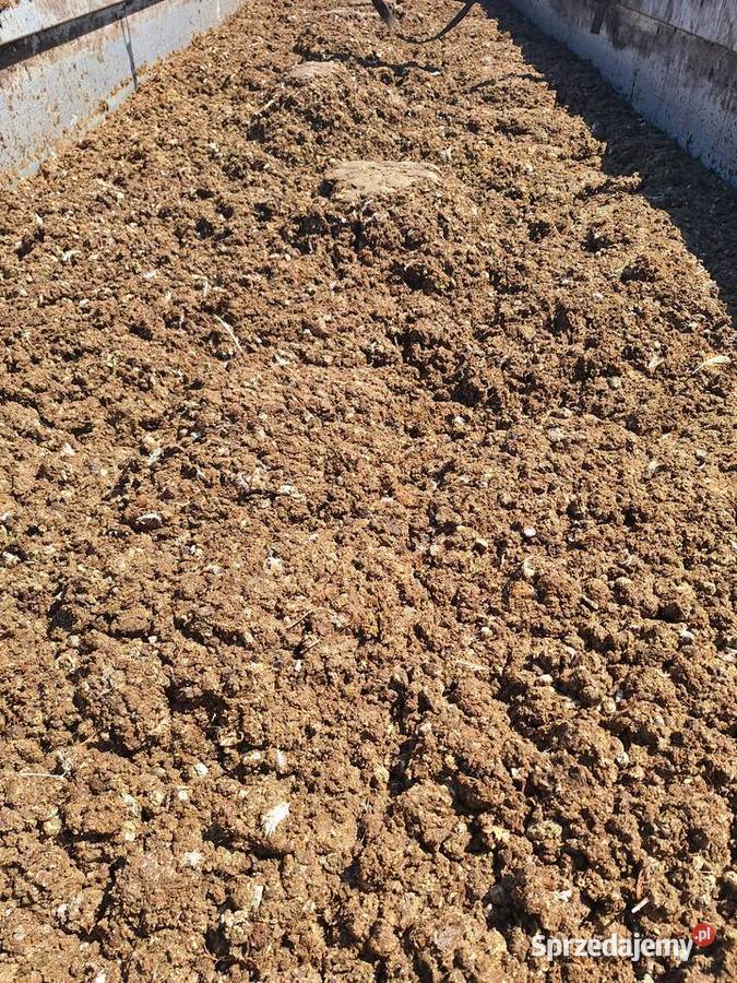 Obornik kurzak pomiot bobek kompost Nakło nad Notecią