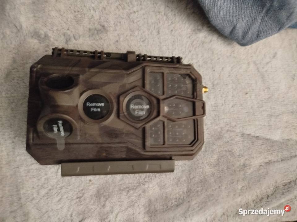 Foto pułapka mazowieckie Góra Kalwaria