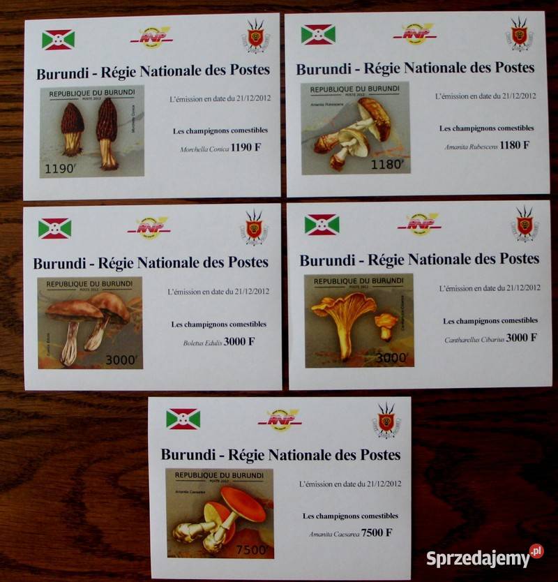 Burundi grzyby wielkopolskie Oborniki