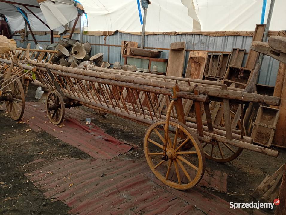Stary wóz drabiniasty Mniszew