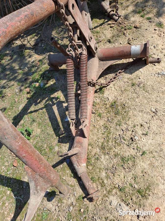 Słoneczko przewracarka Nowa Słupia