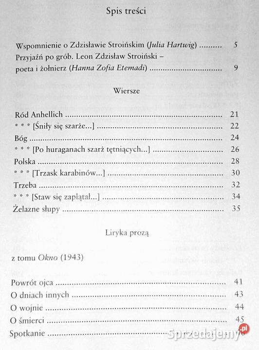 Chmura Portret poety Zdzisław Leon Stroiński lubelskie Chełm