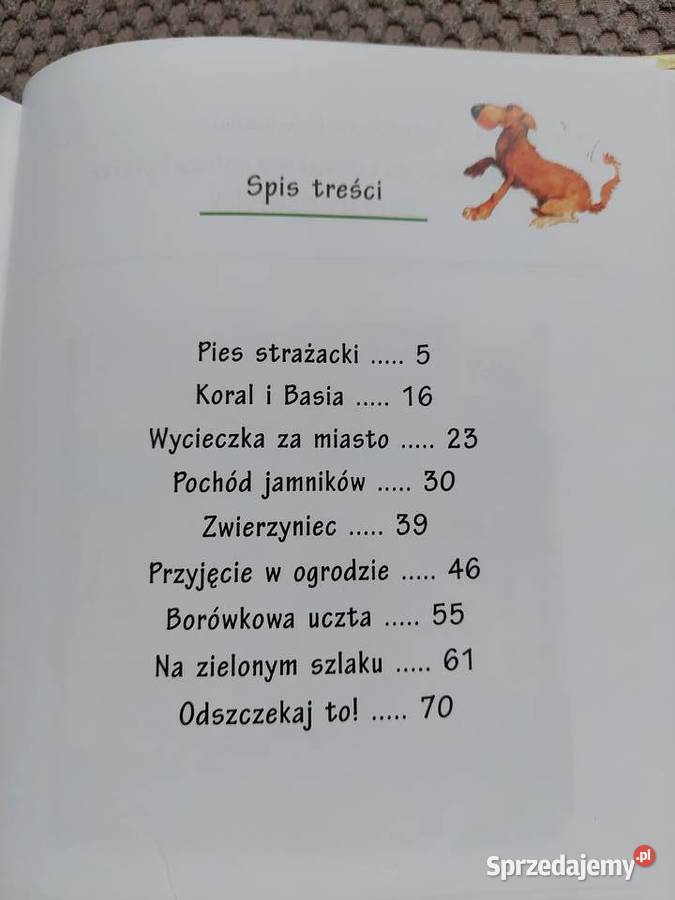 Kaktus szukaj Barbara Gawryluk Kraków