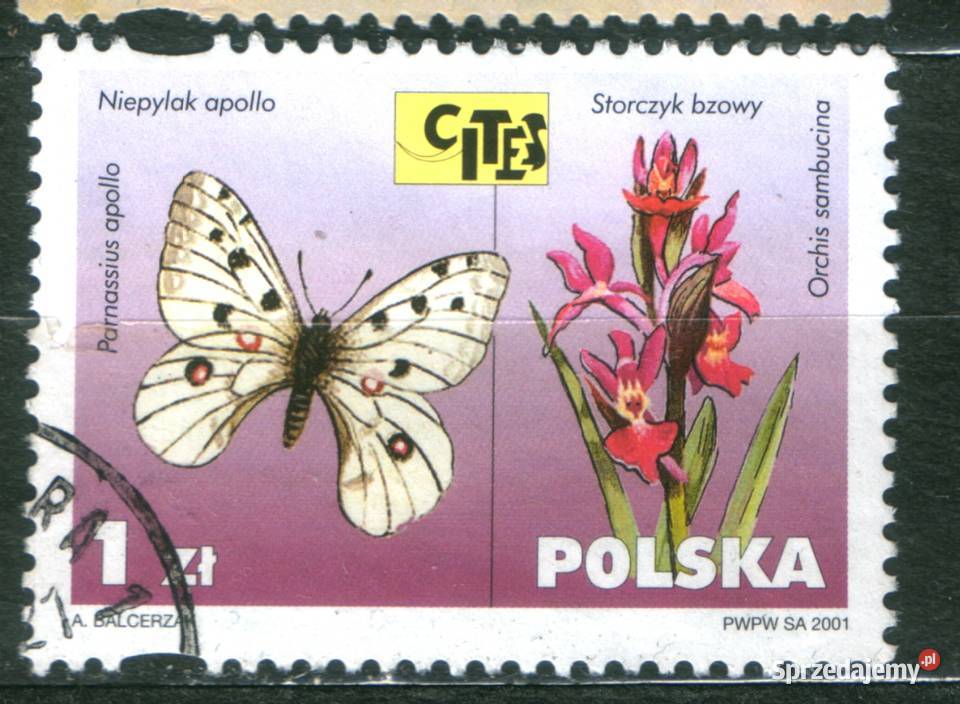 Zn Fi wykaz zn w opisie kas 2001 Gliwice