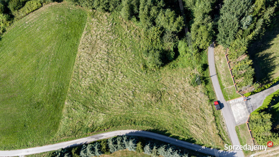 Na sprzedaż działka idealna pod winnice Szczepanowice