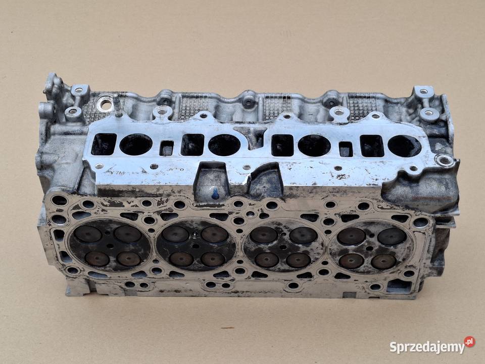 NISSAN RENAULT GŁOWICA 5X0 2L 20DCI 22DCI 25DCI Bieleń sprzedam