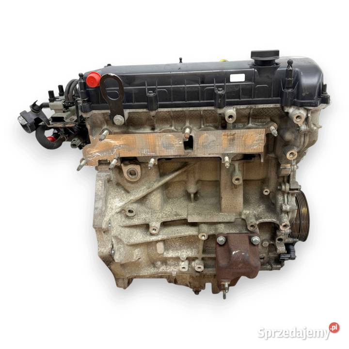 SILNIK QQDB Ford Focus II MK2 C C 18 16V 125 Silniki kompletne Chełm