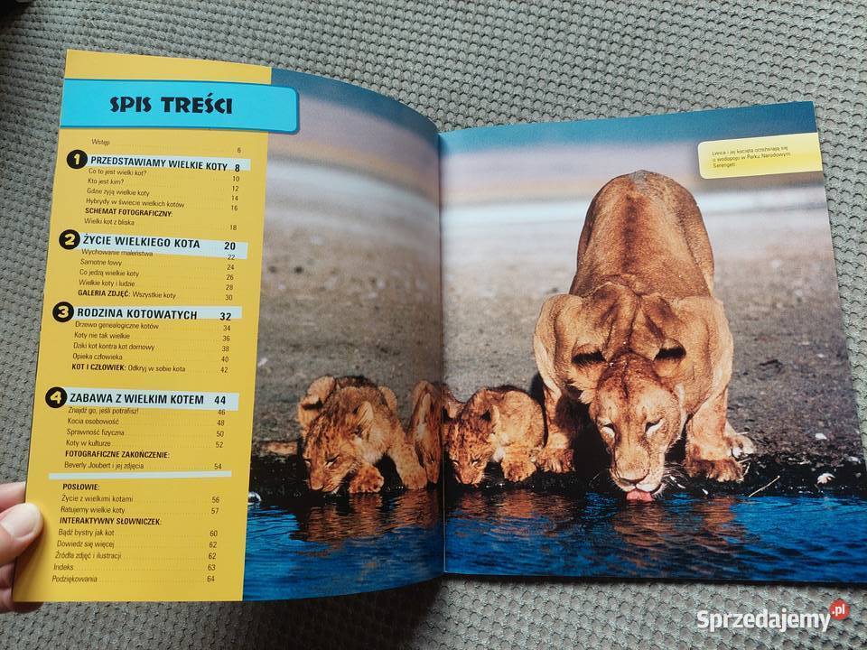 National Geographic Kids Wszystko o wielkich małopolskie Kraków sprzedam