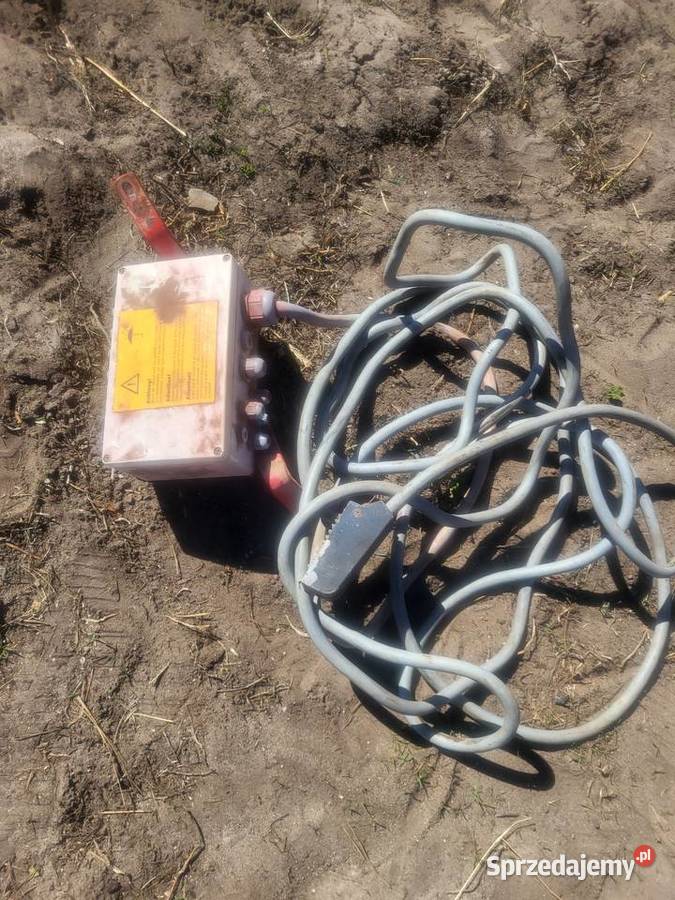 Siewnik accord mazowieckie Kadzidło