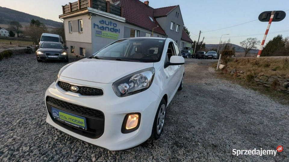 Kia Picanto Zadbane miejskie autko III 2017 67KM Kamienna Góra