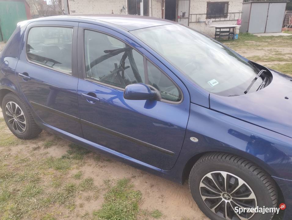 Peugeot 307 podkarpackie Mielec