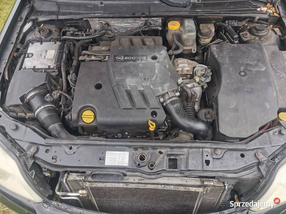 Opel Signum 30 CDTI skórzana tapicerka Lubartów