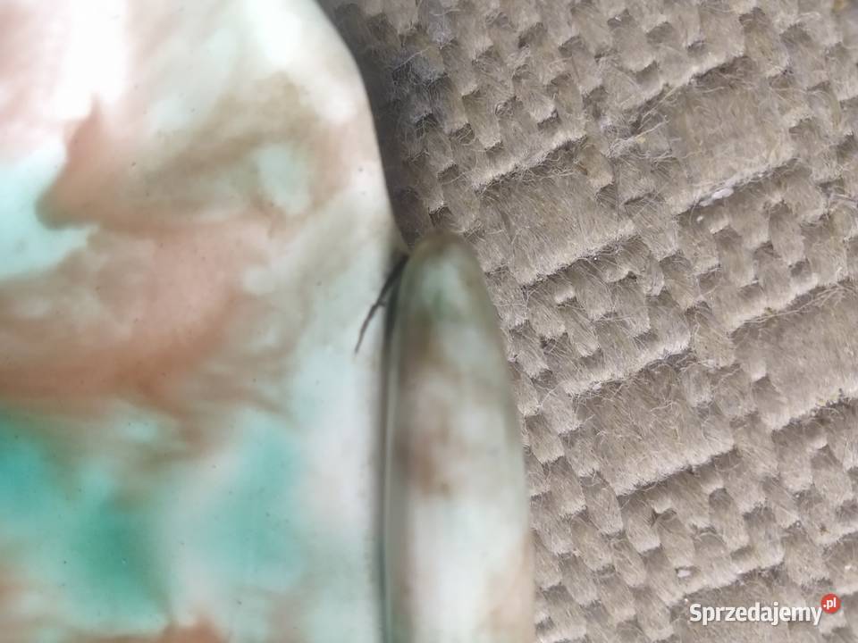 Misa fajansowa PZFF Włocławek lata 50 XX w śląskie