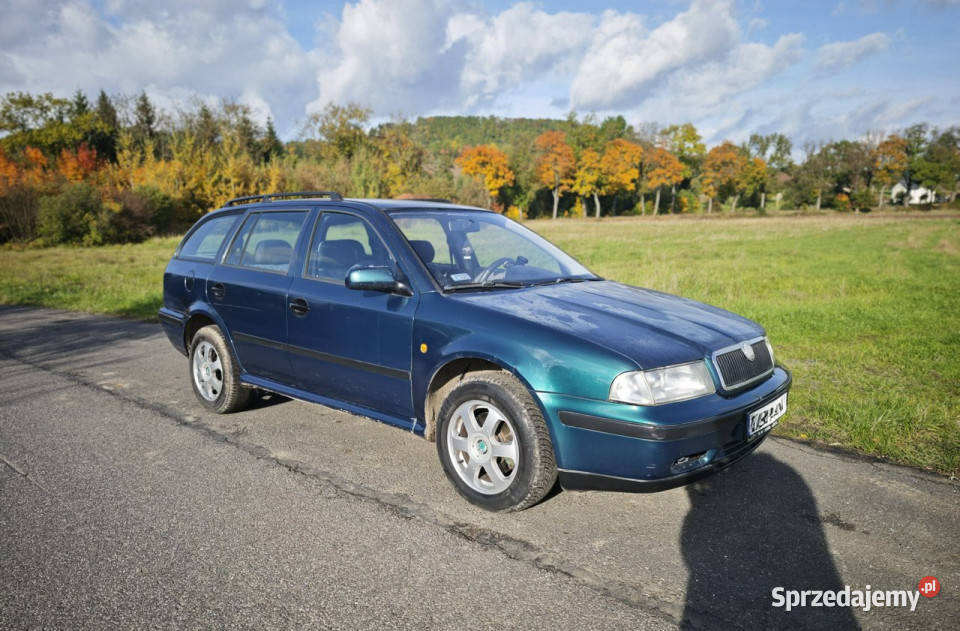 koda Octavia Octavia 19 TDI faktura 23 I diesel Rząśnik