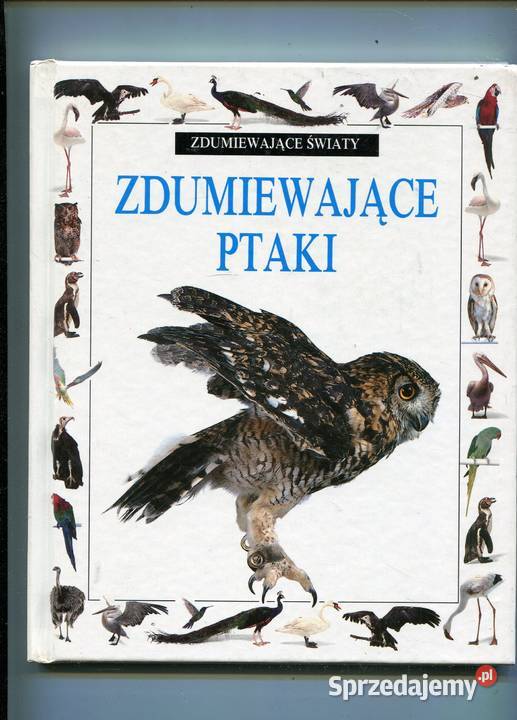 Zdumiewające ptaki Książki i Podręczniki zachodniopomorskie Szczecin