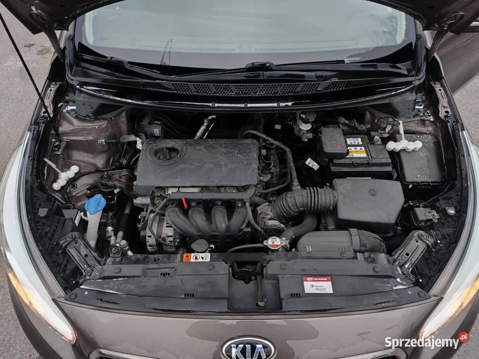 Kia Ceed Ceed 14 L 2017 salon ABS Wrocław