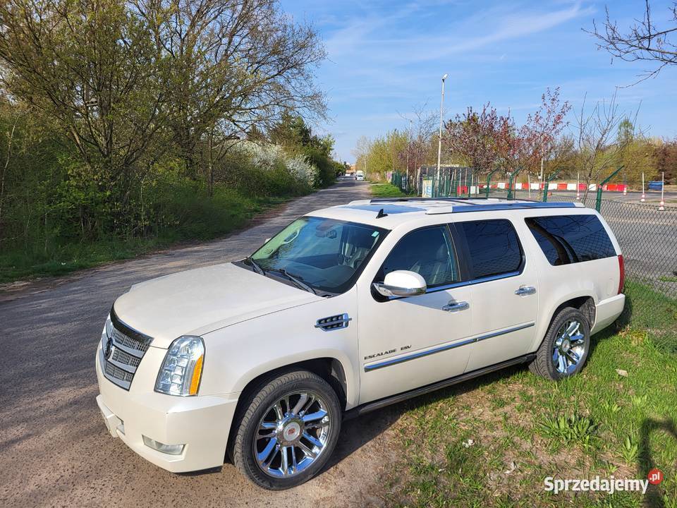 CADILLAC ESCALADE ESV PLATINUM 62 V8 BIAŁA PERŁA Poznań sprzedam