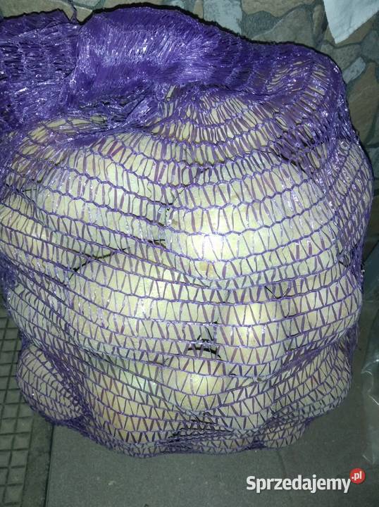 ziemniaki ekologiczne vineta dolnośląskie Pieszyce