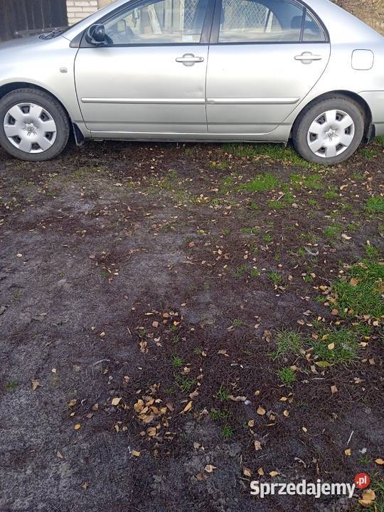 Toyota Corolla Parądzice