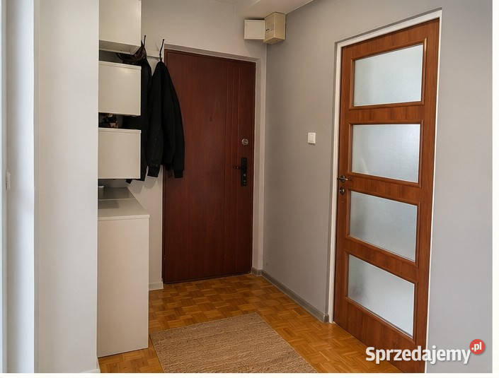 Mieszkanie 724 M2 Toruń Rubinkowo 725977269 internet