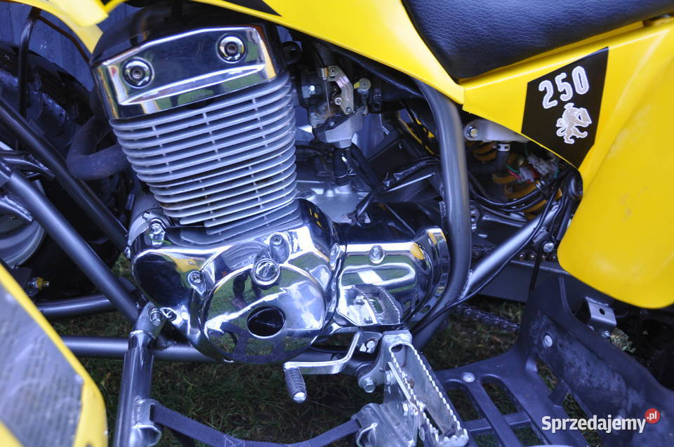 Quad Barossa 250 04R830 Maxer400 Linhai Dinli Frampol sprzedam