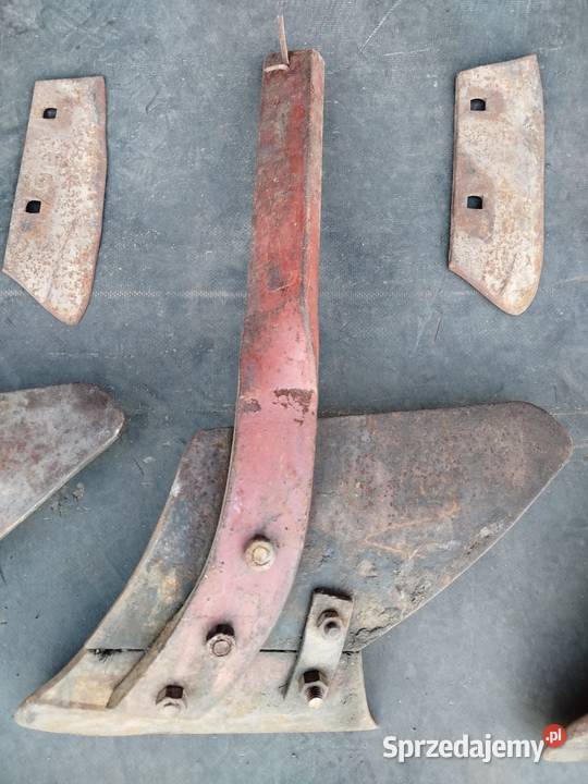 Przedpłużki pługa zagonowego Polskiego Strzelno sprzedam